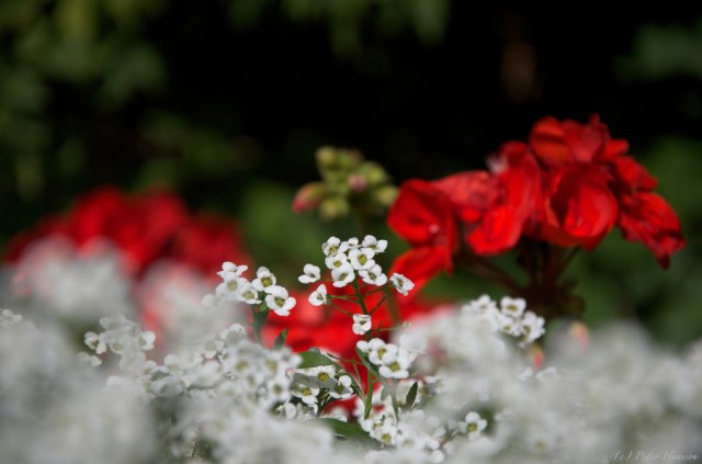 Marabouparken - Sundbyberg