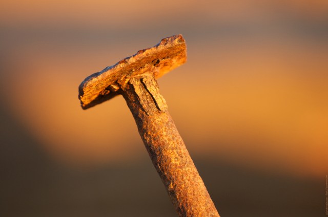 Nail in morning light