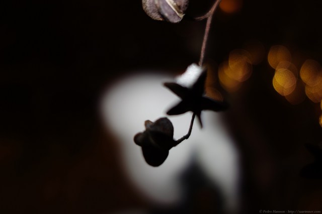 Sony RX-100 in dark conditions