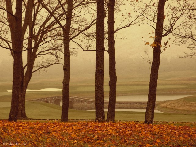 © Pedro Hansson - Preparing for Autumn Photography