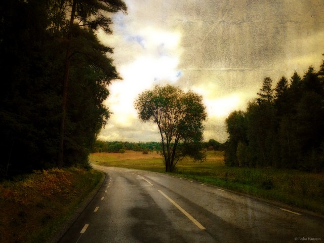 © Pedro Hansson - Country Road