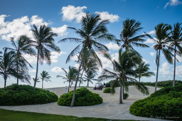 © Pedro Hansson - Hole 7 - Corales