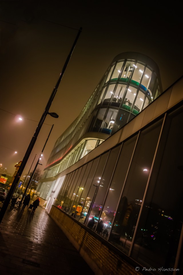 © Pedro Hansson - Bonnier Art Hall