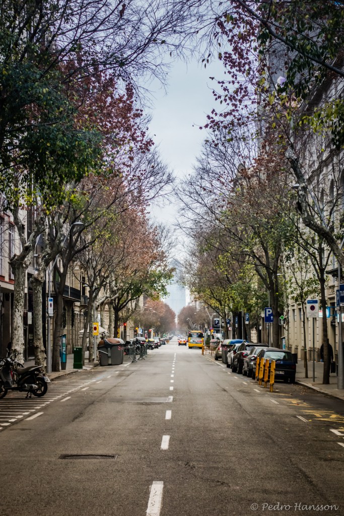 New Years Day at 10 AM